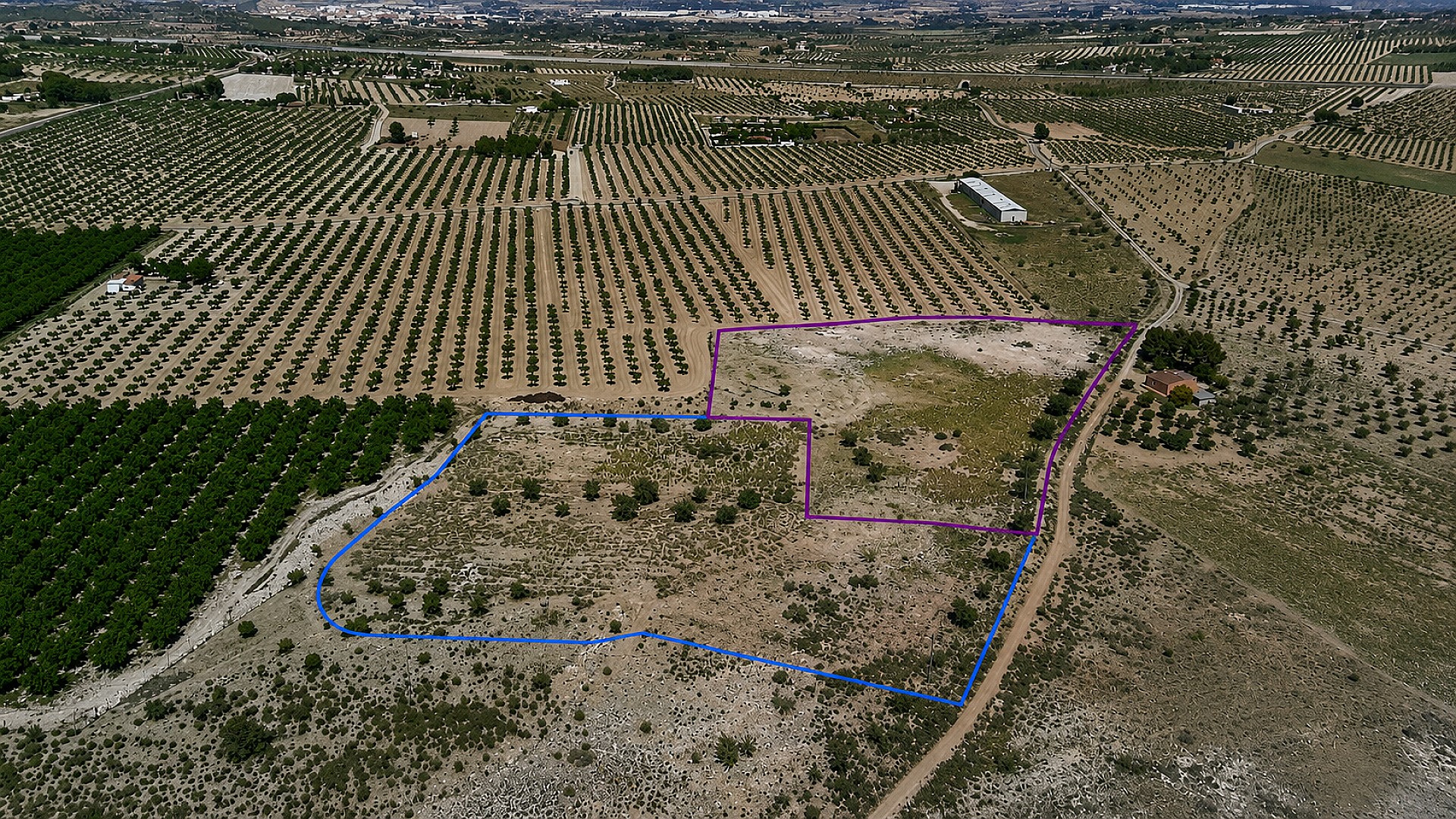 Resale - Land in Salinas -  - Alicante