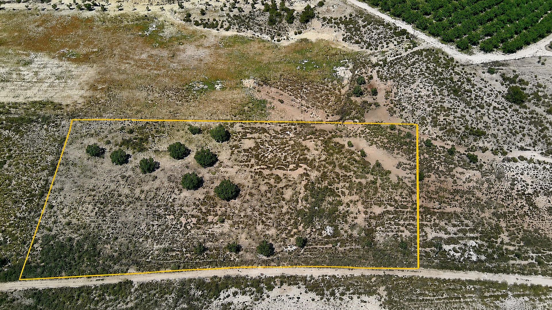 Resale - Land in Salinas -  - Alicante