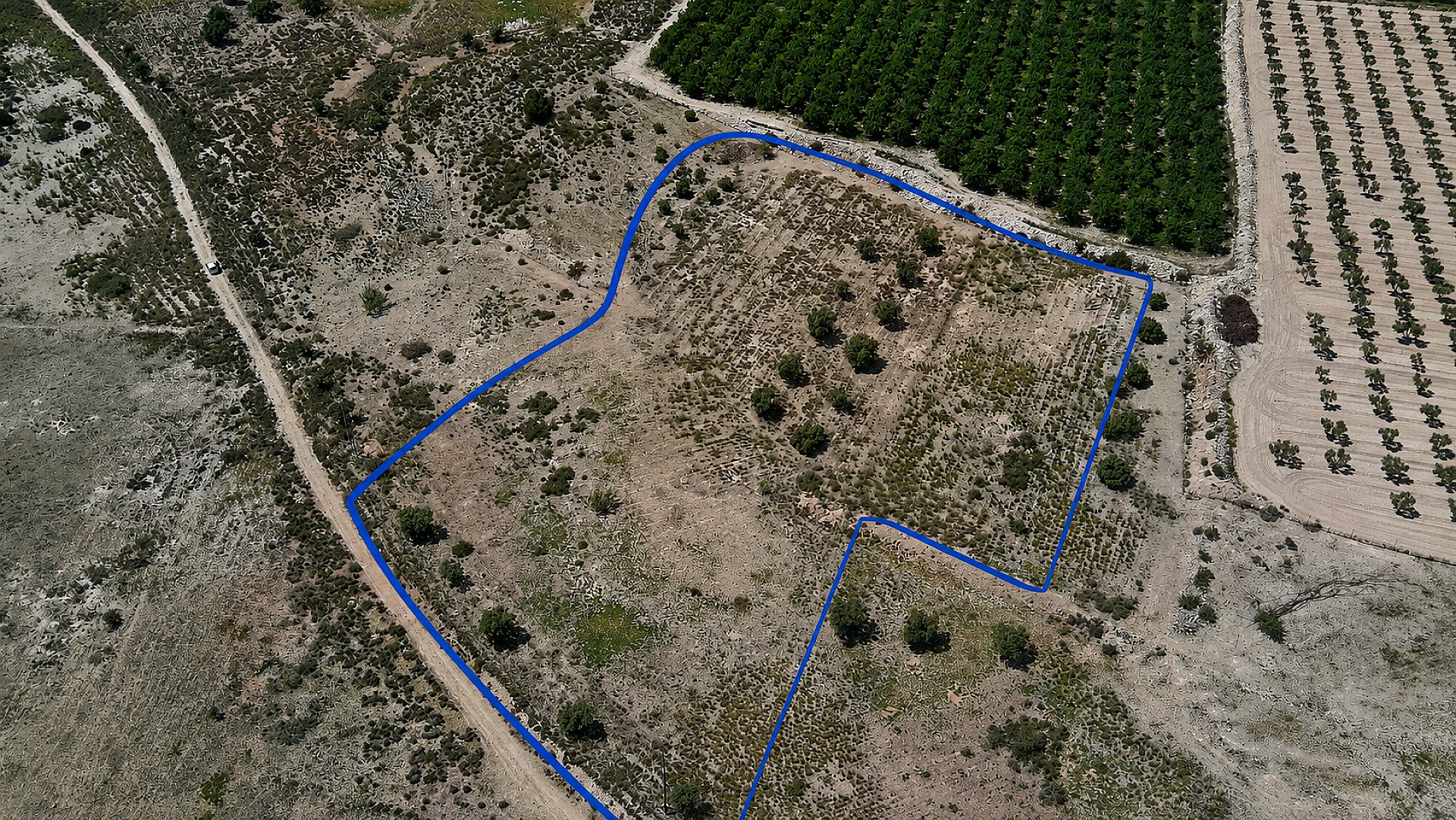 Resale - Land in Salinas -  - Alicante