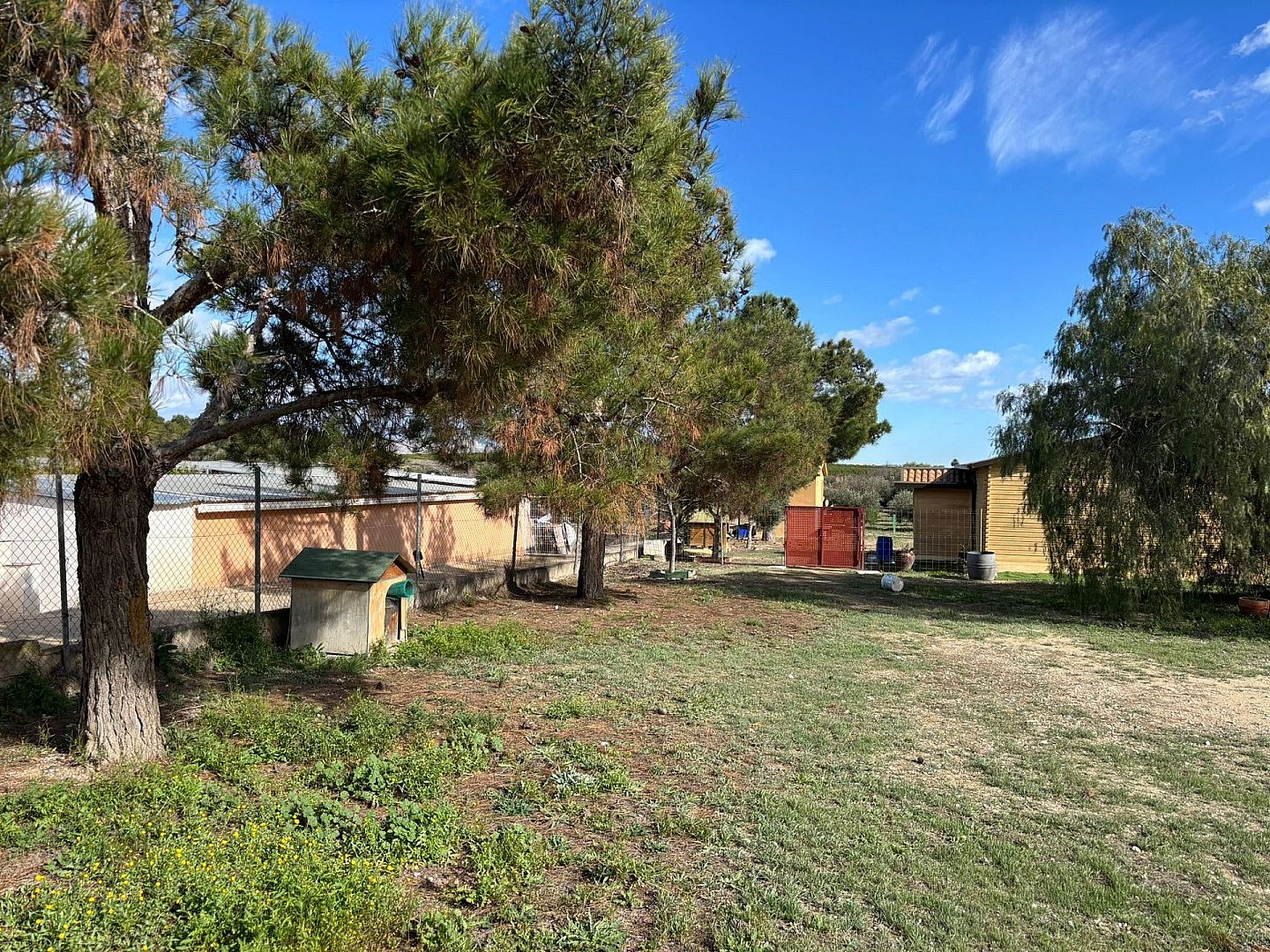 1 Bedroom 1 Bathroom Wooden House in Fortuna