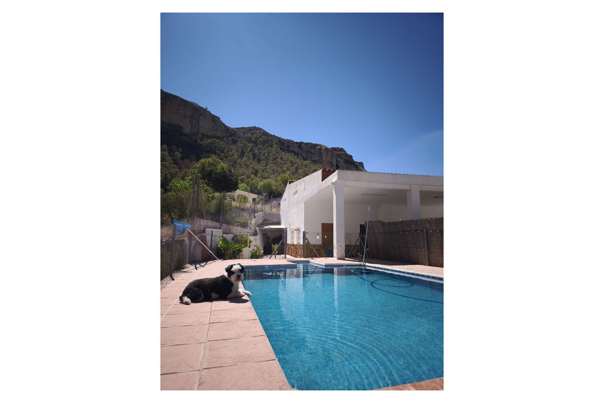Resale - 4 Bedroom 1 Bathroom Finca in Crevillente -  - Alicante