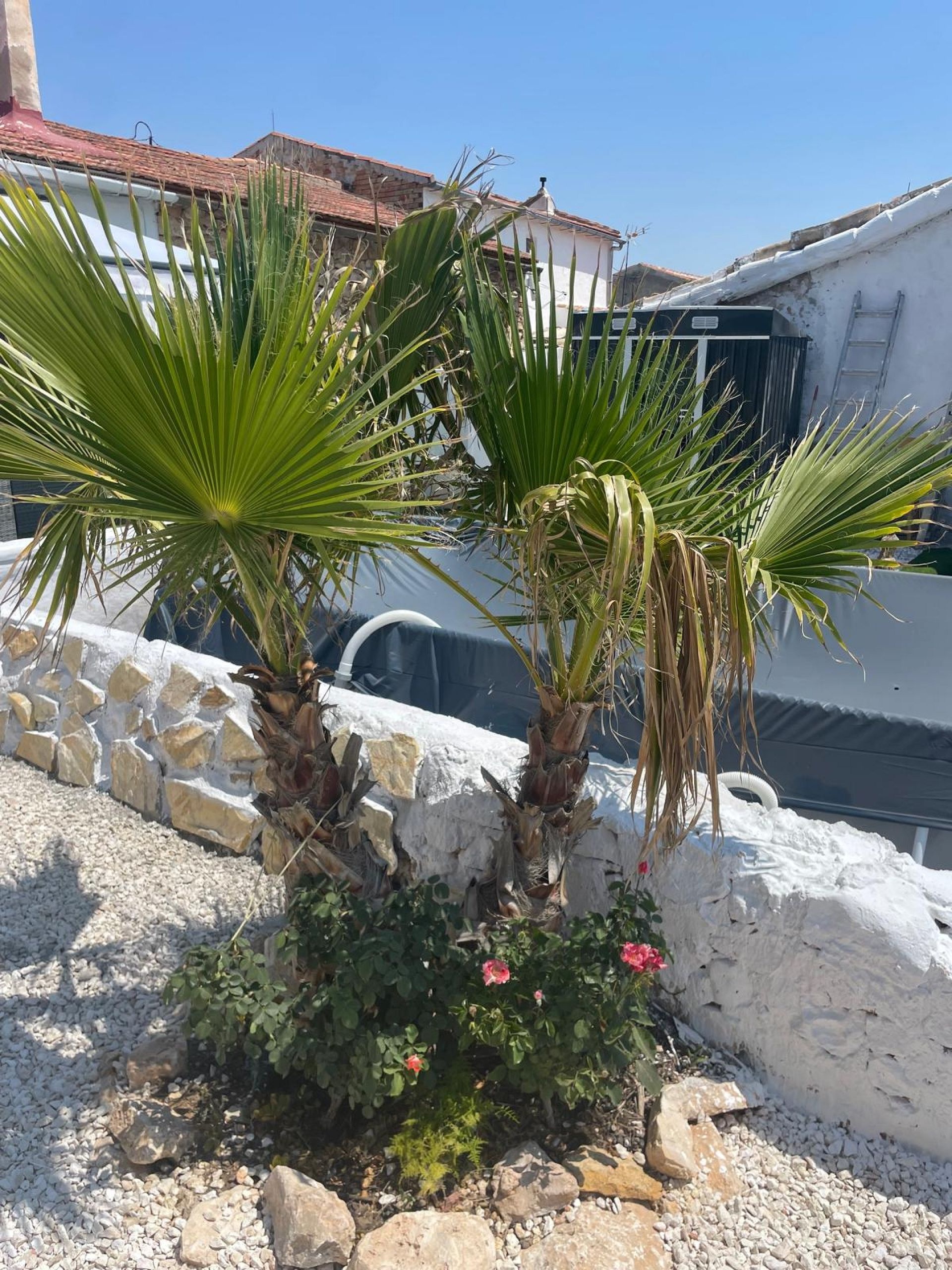 Resale - 2 Bedroom 2 Bathroom Village house in Cañada del Trigo -  - Murcia