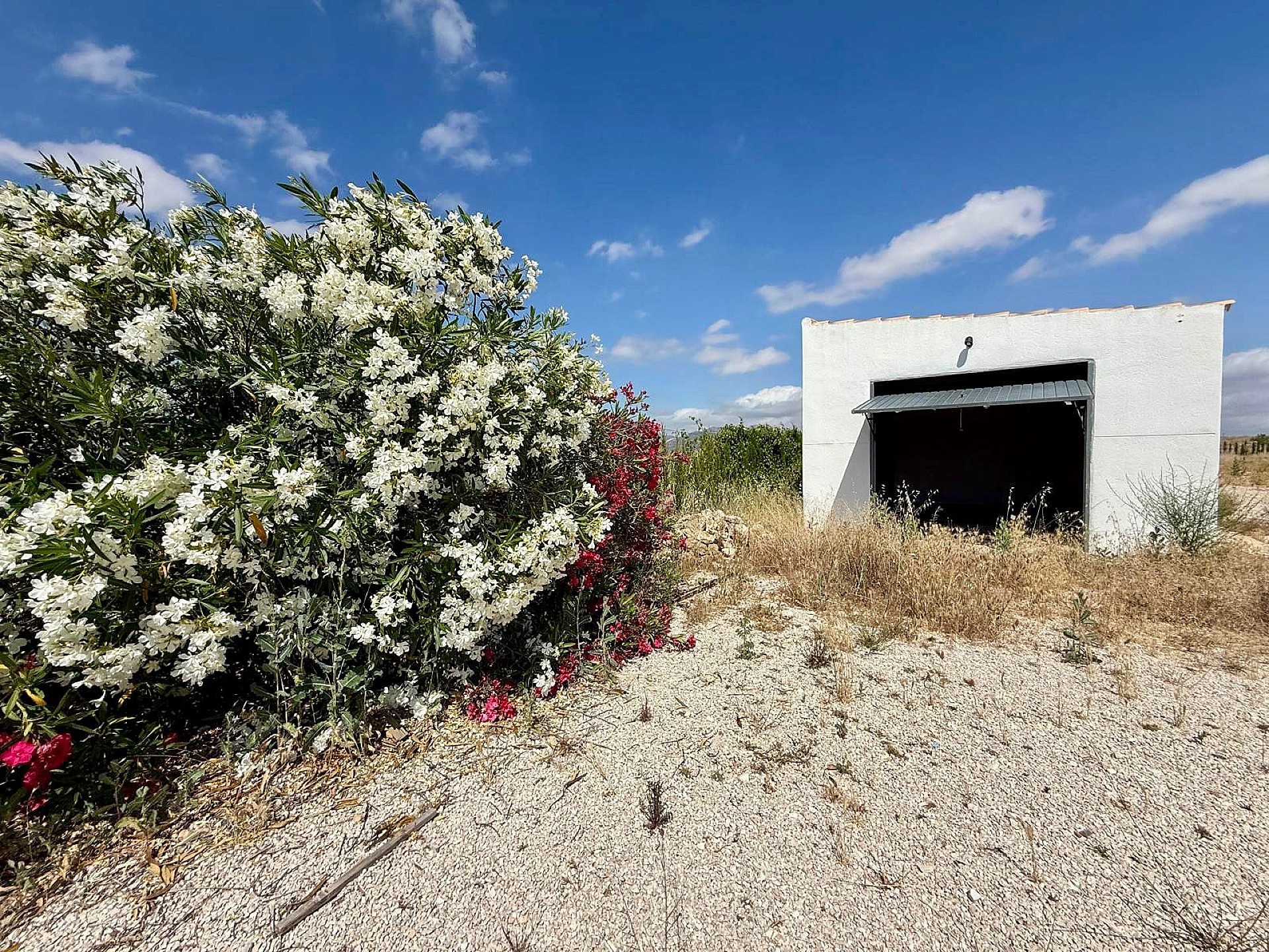 Resale - 3 Bedroom 2 Bathroom Villa in Cañada del Trigo -  - Murcia