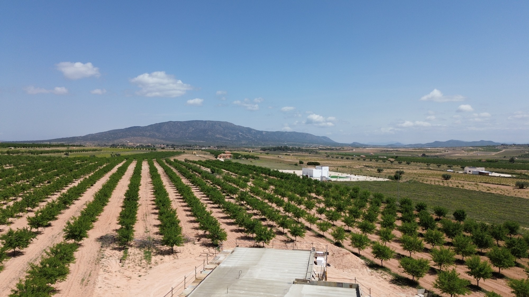 Resale - 3 Bedroom 2 Bathroom Villa in Pinoso -  - Alicante