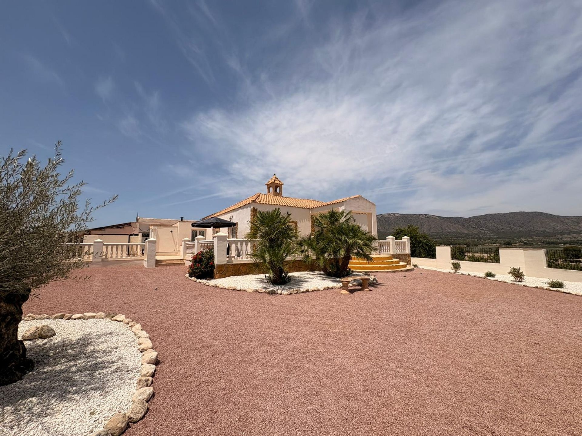 Resale - 4 Bedroom 4 Bathroom Commercial in Salinas -  - Alicante