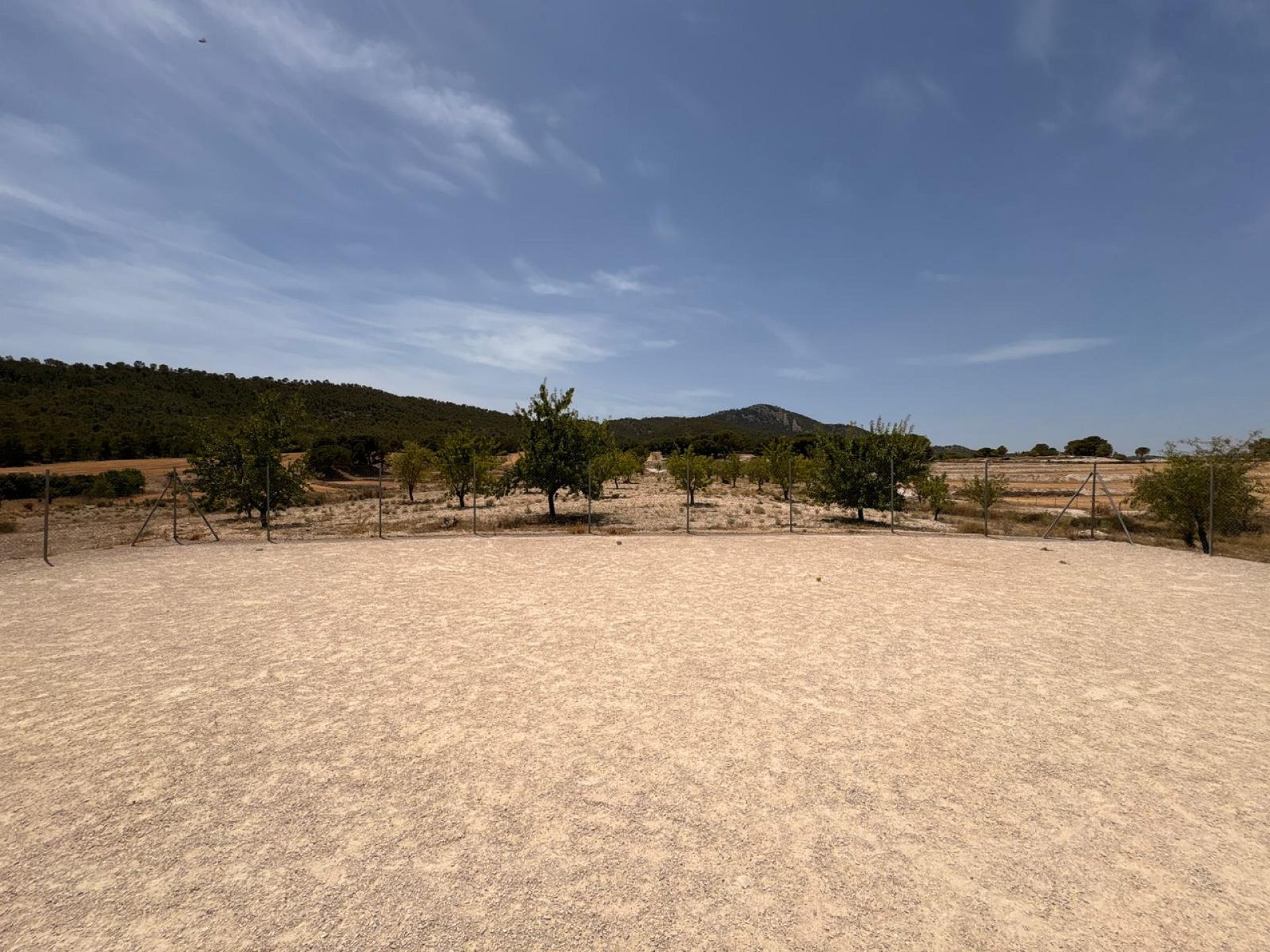 Resale - 4 Bedroom 4 Bathroom Commercial in Salinas -  - Alicante