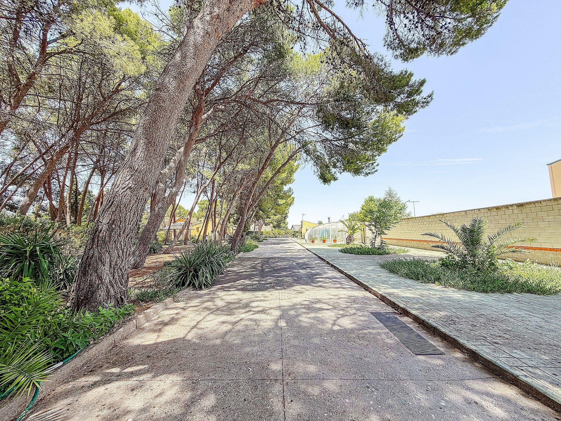 Resale - 4 Bedroom 4 Bathroom Villa in Yecla -  - Murcia