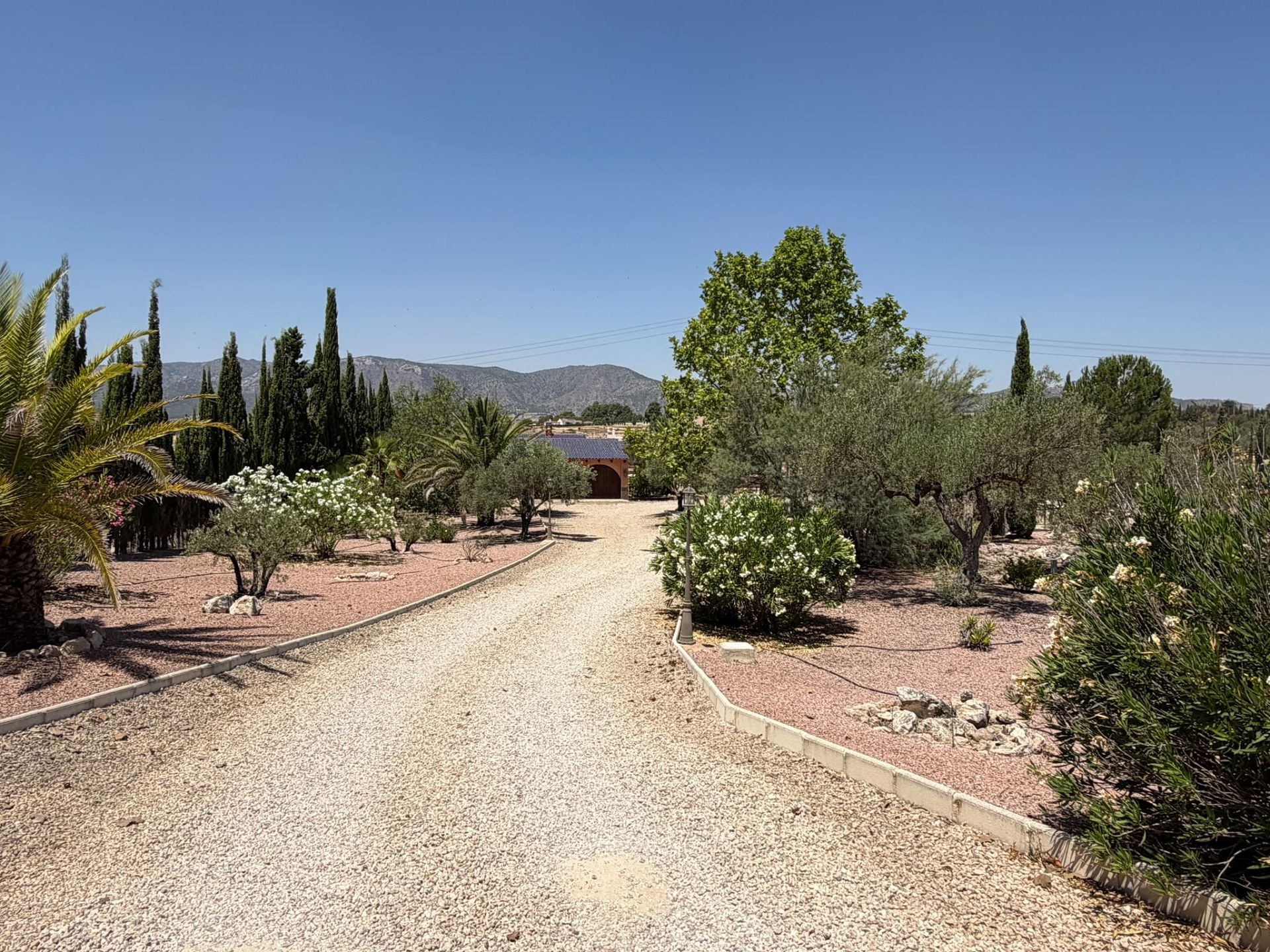 Resale - 6 Bedroom 5 Bathroom Villa in Salinas -  - Alicante