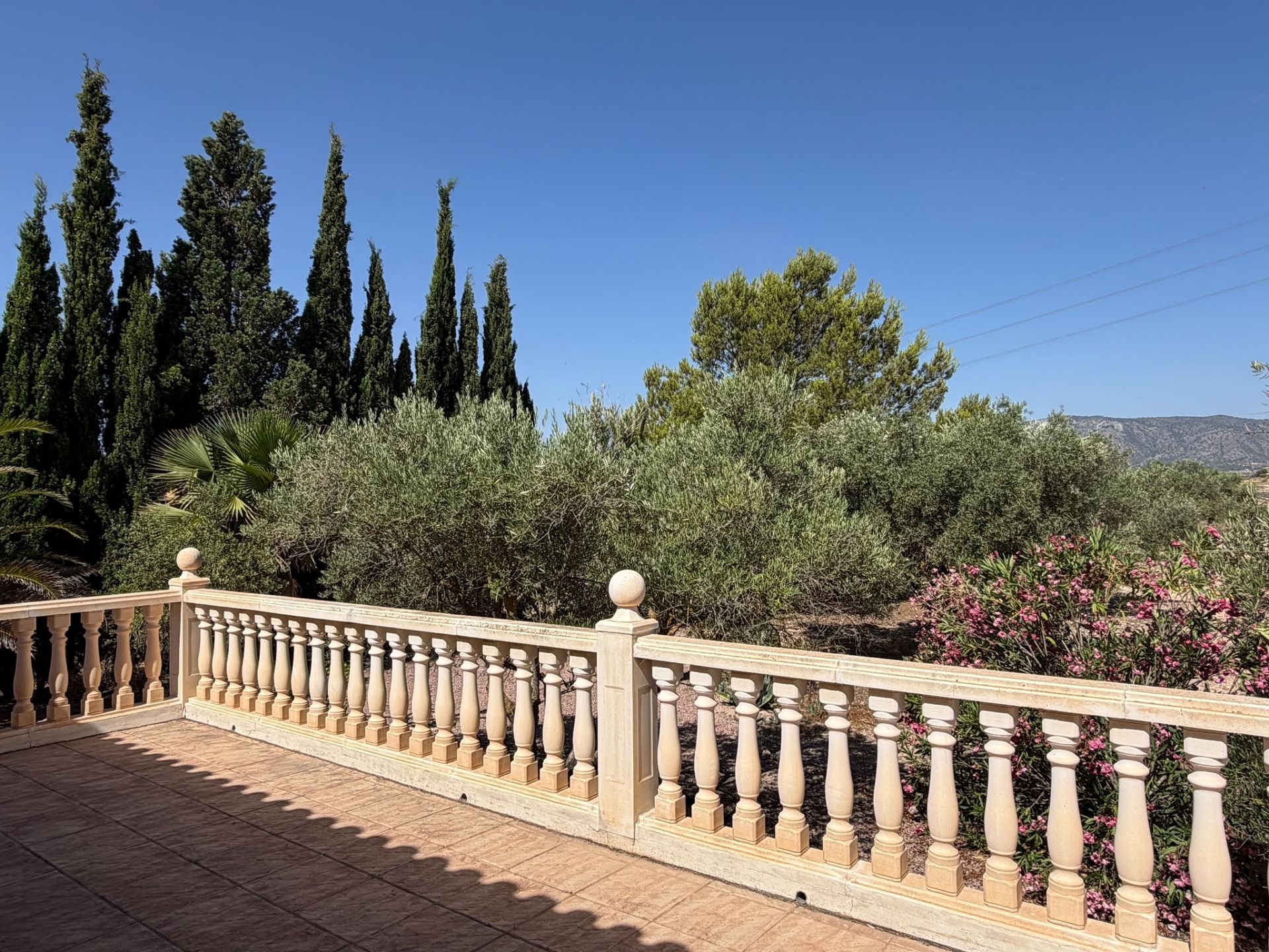 Resale - 6 Bedroom 5 Bathroom Villa in Salinas -  - Alicante