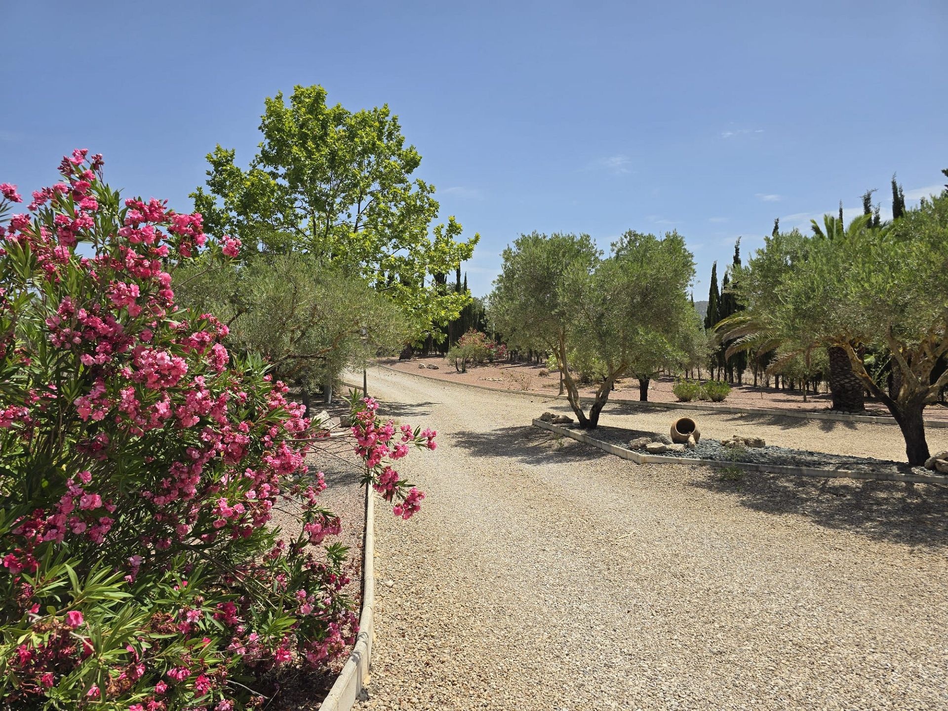 Resale - 6 Bedroom 5 Bathroom Villa in Salinas -  - Alicante
