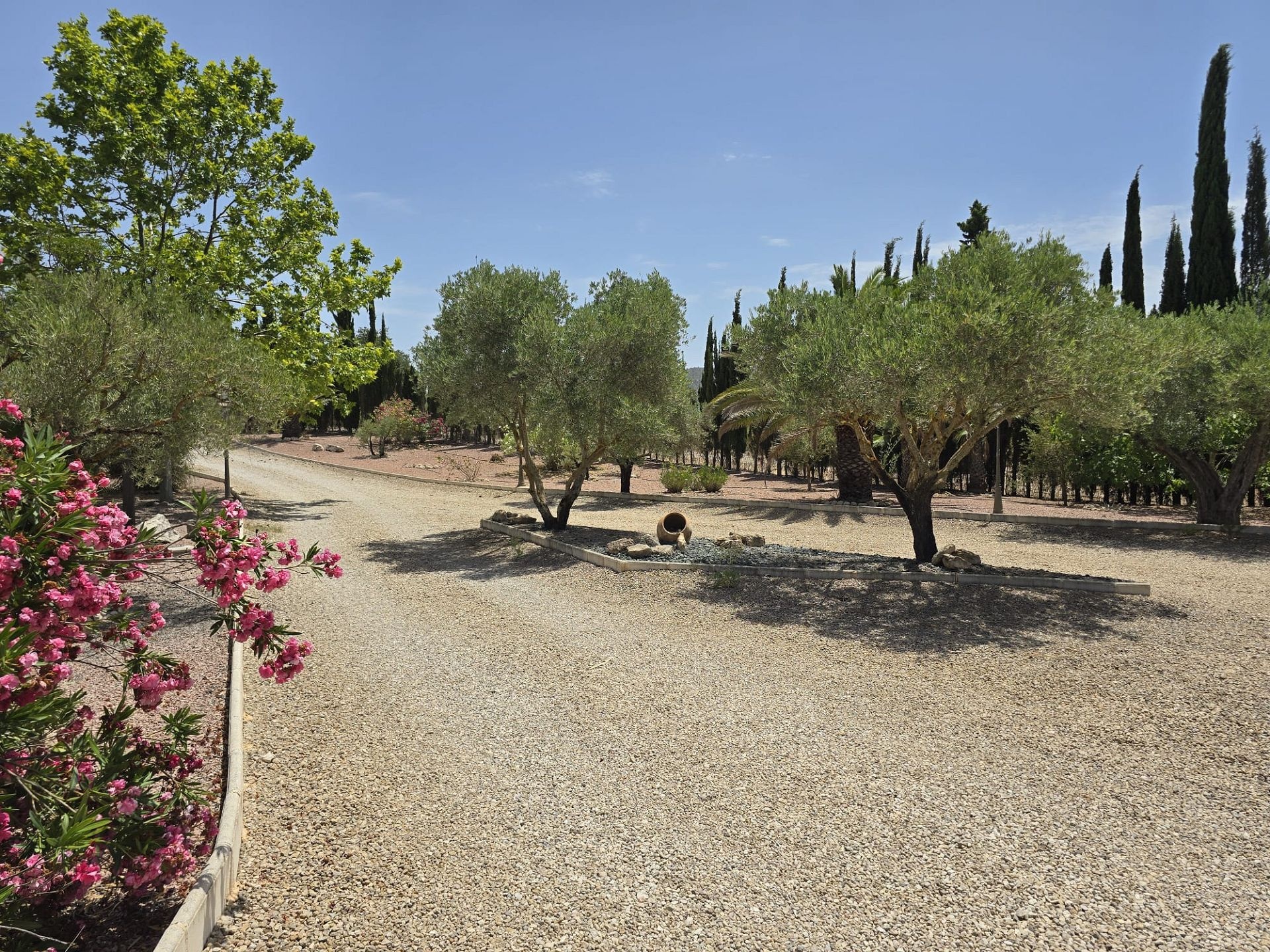 Resale - 6 Bedroom 5 Bathroom Villa in Salinas -  - Alicante