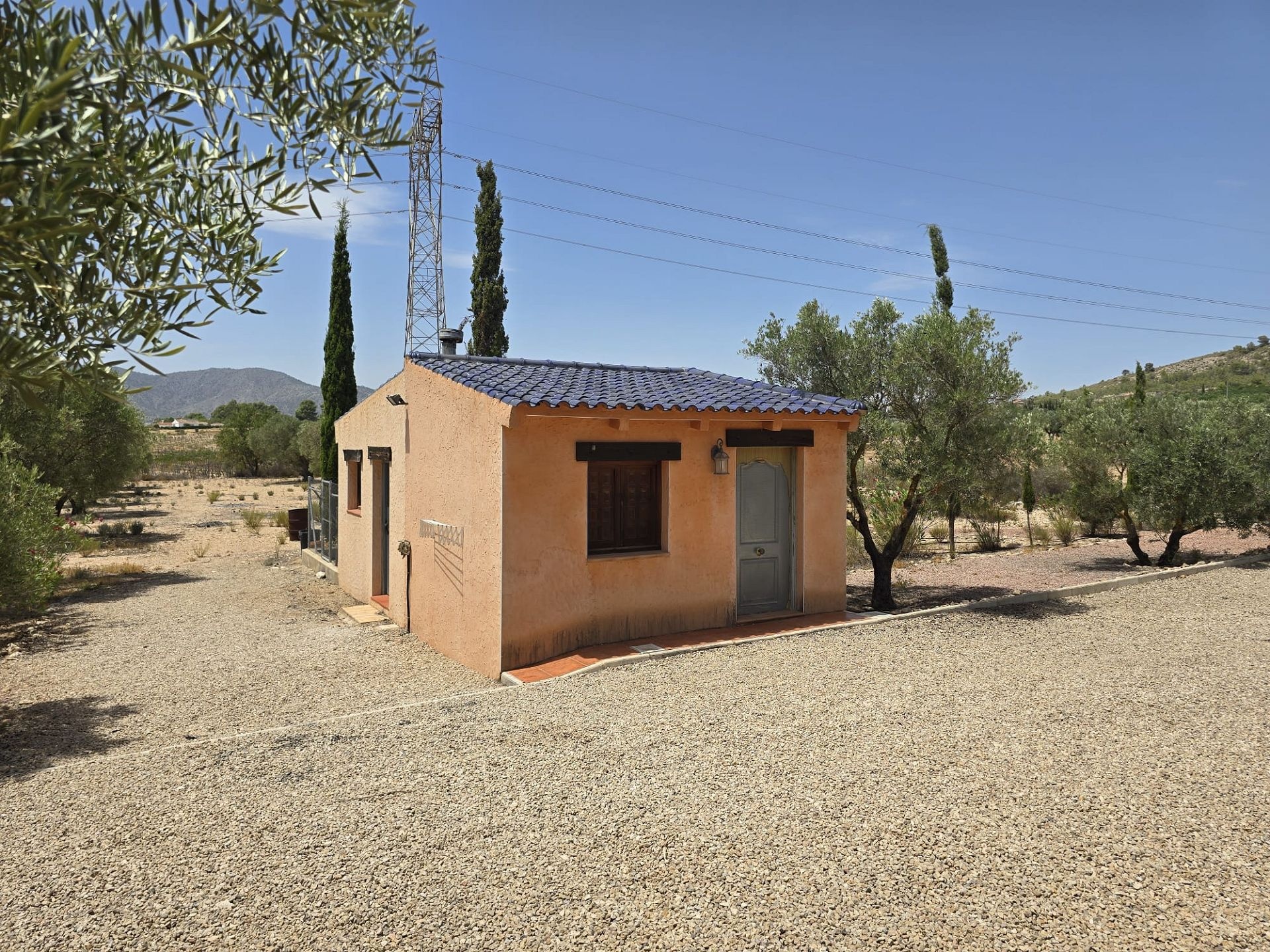 Resale - 6 Bedroom 5 Bathroom Villa in Salinas -  - Alicante