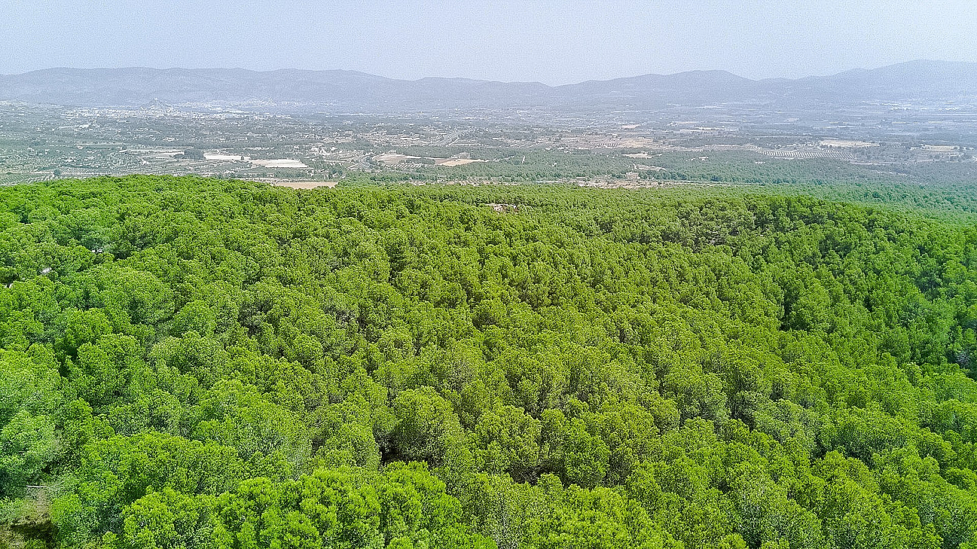 Resale - 2 Bedroom 1 Bathroom Finca in Castalla -  - Alicante