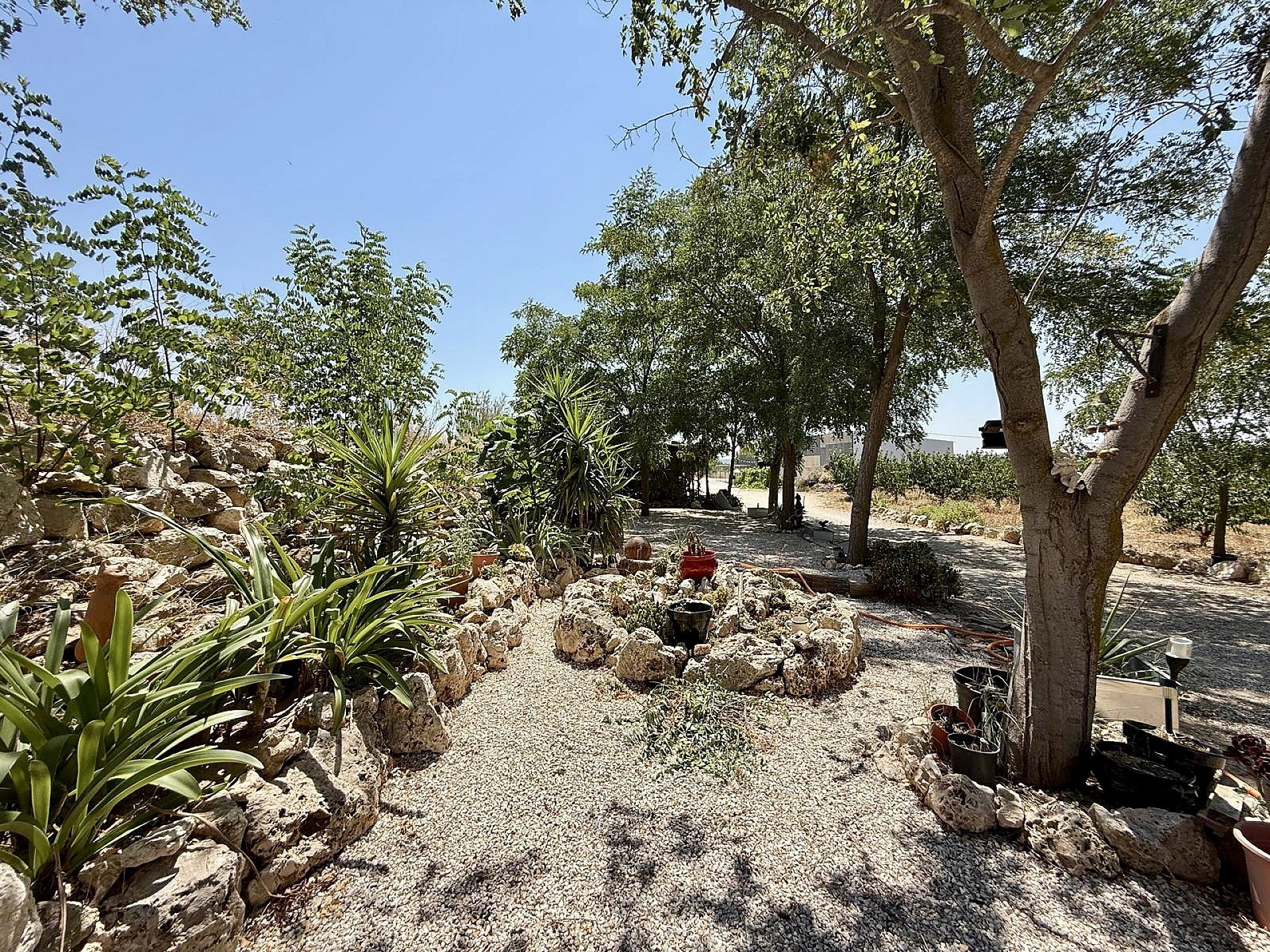 Resale - 4 Bedroom 3 Bathroom Country house in Villena -  - Alicante