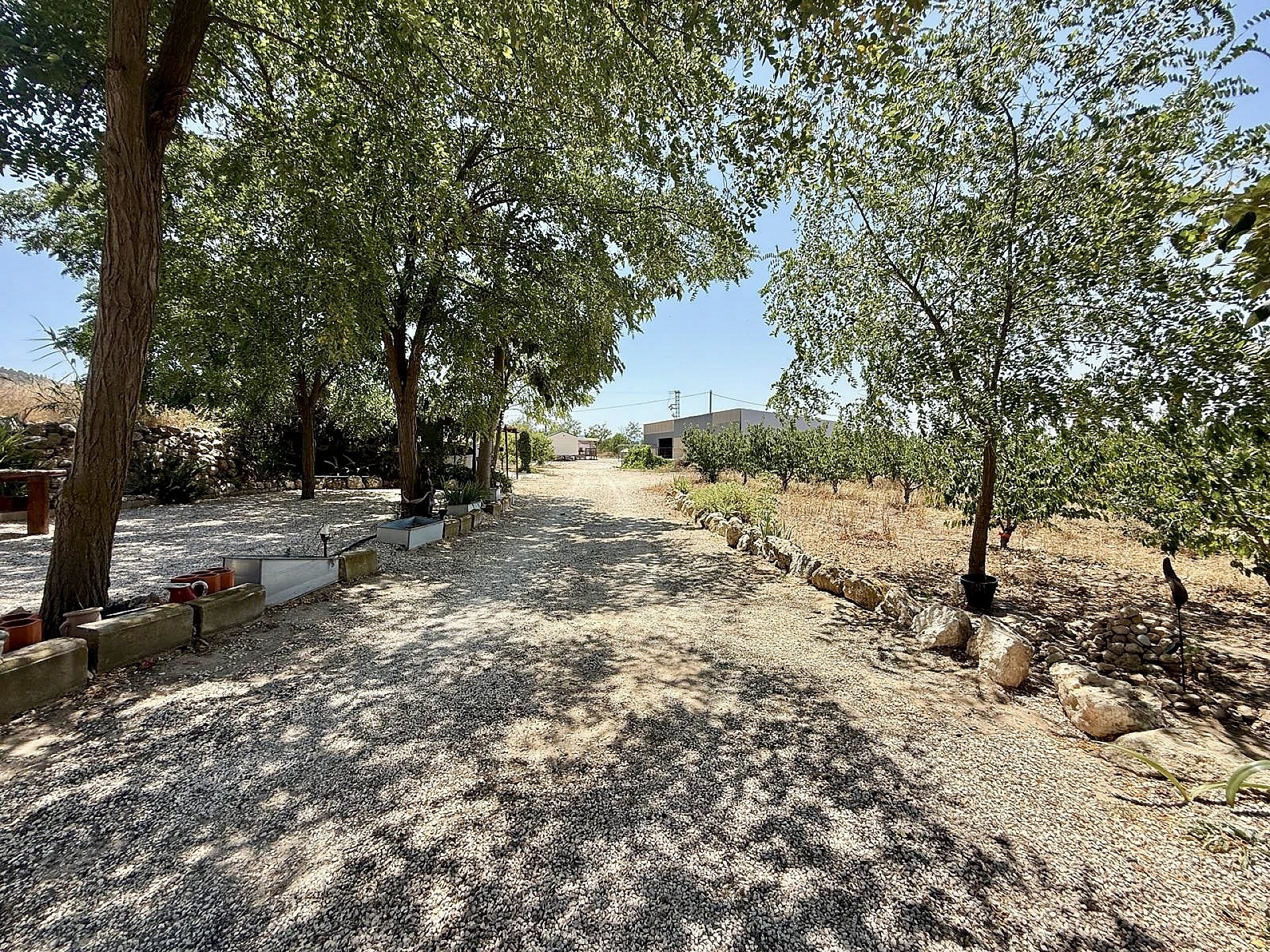 Resale - 4 Bedroom 3 Bathroom Country house in Villena -  - Alicante