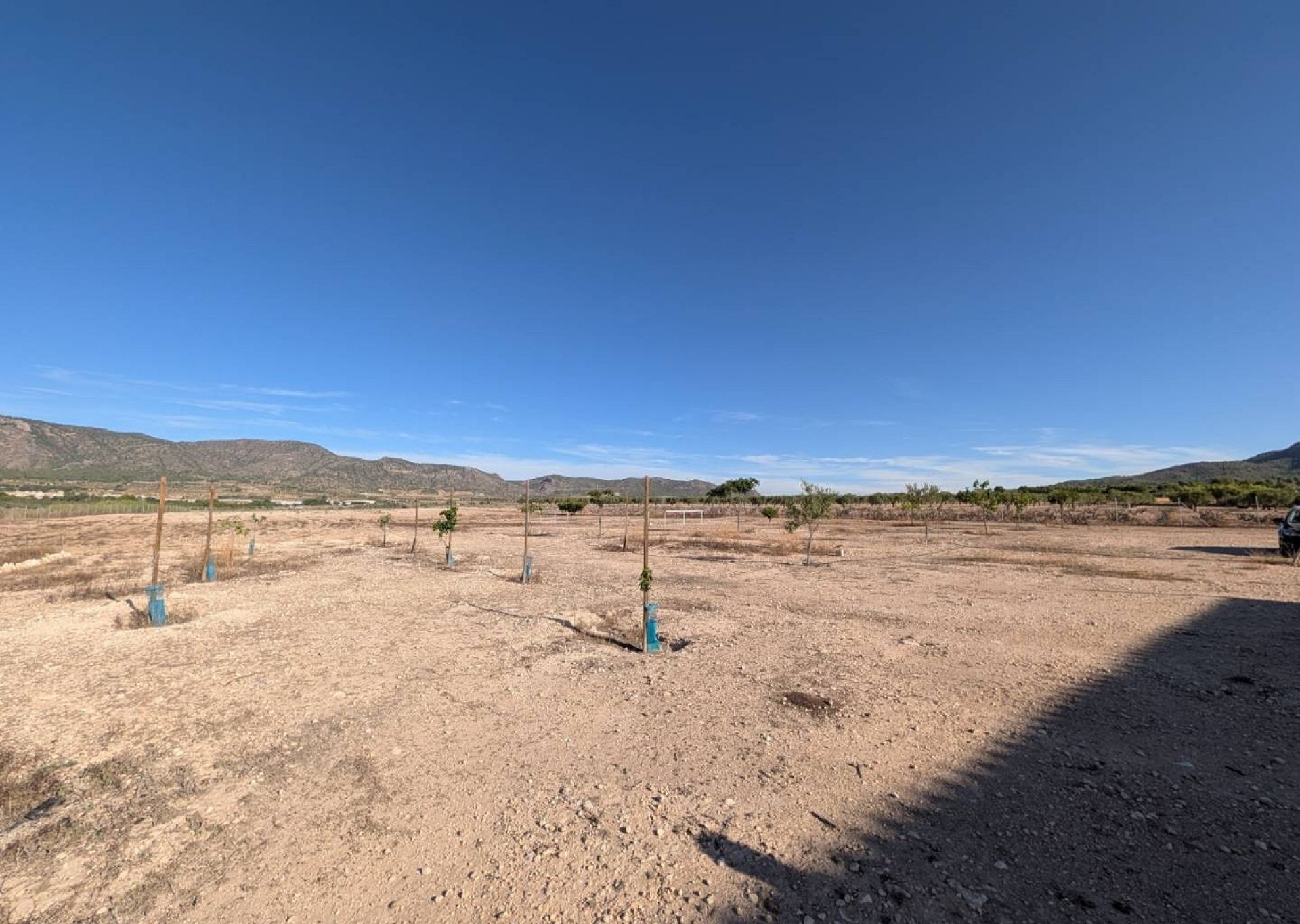 Resale - 3 Bedroom 2 Bathroom Country house in Salinas -  - Alicante