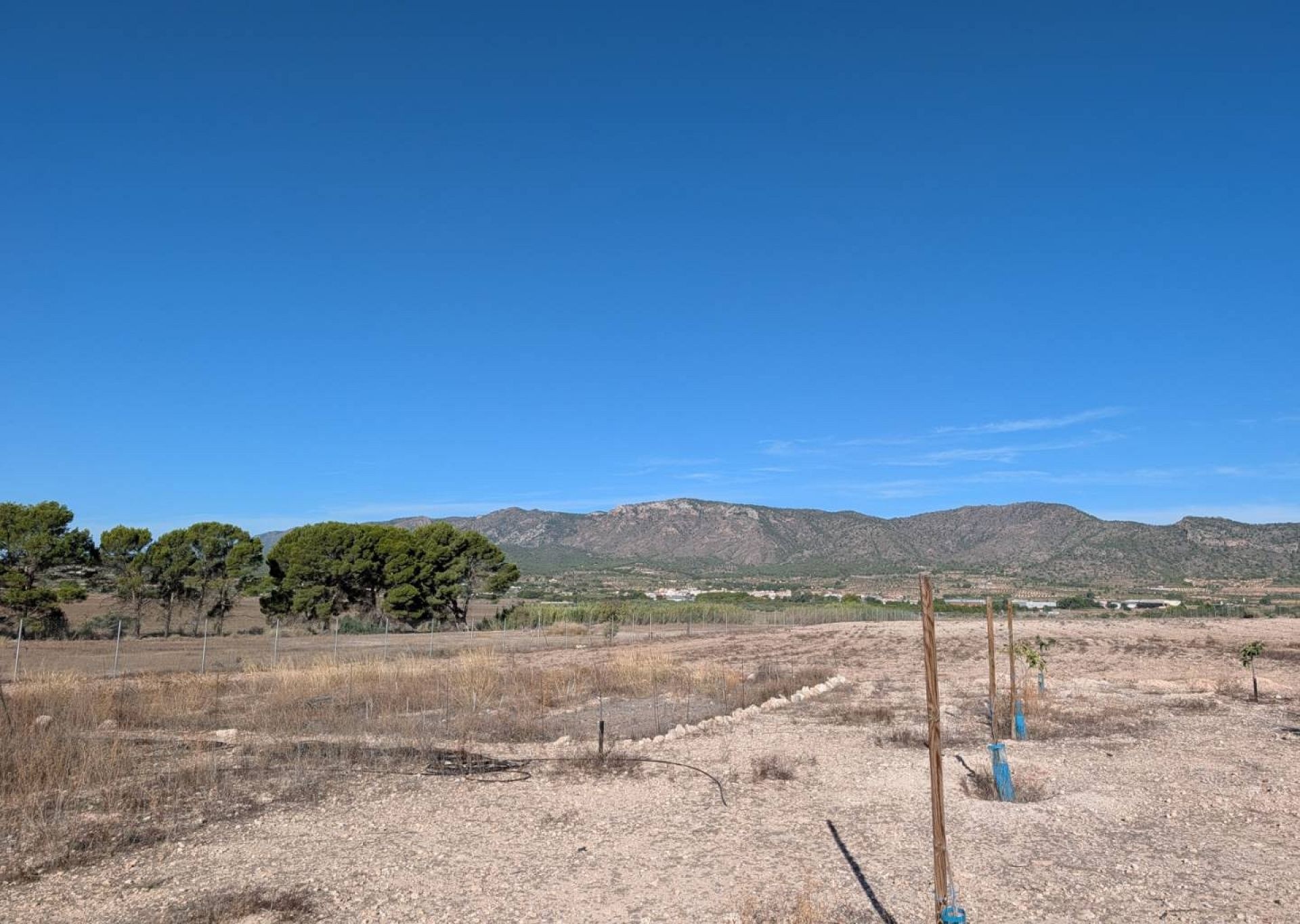 Resale - 3 Bedroom 2 Bathroom Country house in Salinas -  - Alicante